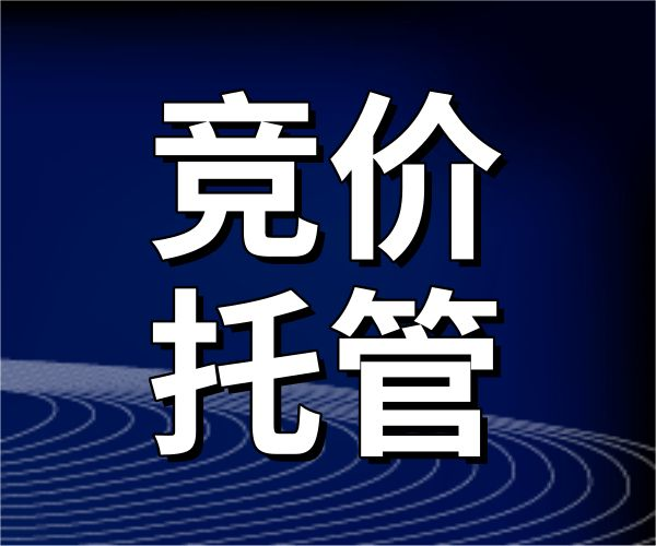 河南競價托管代運(yùn)營 河南競價托管代運(yùn)營